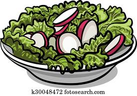 salat, mit, frisch, rettich, und, kopfsalat salat, mit, frisch, rettich, und, kopfsalat
