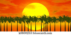 sunset over palms sunset over palms