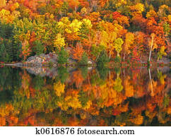 Colorful fall Colorful fall