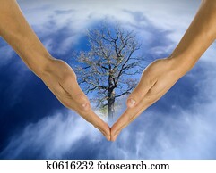 ecology, hands, responsibility, business