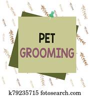 Handwriting text writing Pet Grooming. Concept meaning hygienic care and enhancing the appearance of the pets Reminder color background thumbtack tack memo attached office pin square. Handwriting text writing Pet Grooming. Concept meaning hygienic care and enhancing the appearance of the pets Reminder color background thumbtack tack memo attached office pin square.