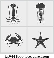 Set of marine creature Set of marine creature