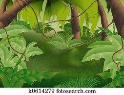 Virgin forest Virgin forest