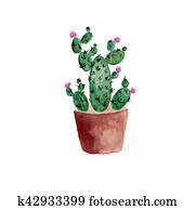 Watercolor cactus illustration Watercolor cactus illustration