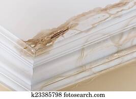 Ceiling Water damage Ceiling Water damage