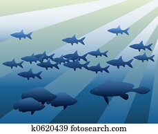 Fish Fish