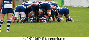 rugby, scrum rugby, scrum