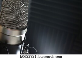Microphone