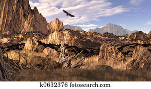 Bald Eagle in the Rockies Bald Eagle in the Rockies