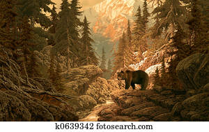 Bear in the Rockies Bear in the Rockies