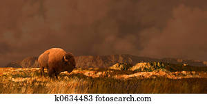 Buffalo in Rockies Buffalo in Rockies