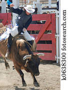 Bull Rider Bull Rider