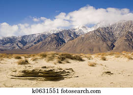 Desert scene in Death Valley