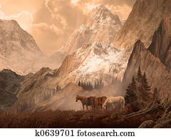 סוסים פראים