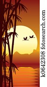 Bamboo and sunset