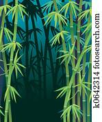 Bamboo forest