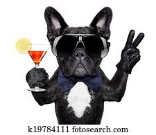 cocktail, hund cocktail, hund