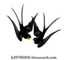 Kiss swallows Kiss swallows