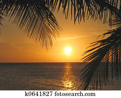 Sunset through the palm trees over the caraibe sea, Roatan island, Honduras Sunset through the palm trees over the caraibe sea, Roatan island, Honduras