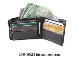 Wallet and money