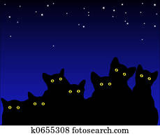 Cat's eyes Cat's eyes
