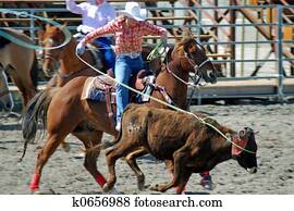 Cowgirl Cowgirl