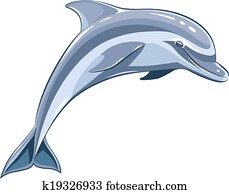 Dolphin Dolphin