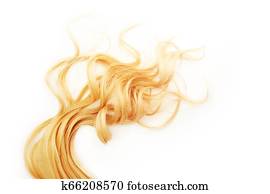 Golden Curls Hair Isolated On White Background Strand Of Blonde
