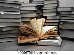 Knowledge - light, ignorance - darkness Knowledge - light, ignorance - darkness