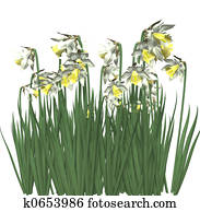 Spring Flowers 3D Spring Flowers 3D