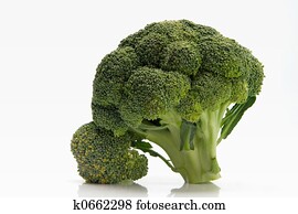 broccoli broccoli