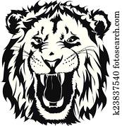 lion head lion head