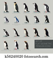 Set of flat geometric species of Penguins