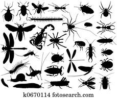 Bugs Bugs