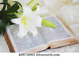Easter Lily and Bible Easter Lily and Bible