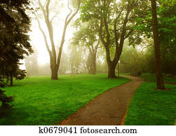 Foggy park Foggy park