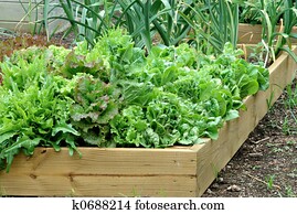 Container Garden Container Garden
