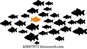 fish school fish school