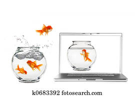 Into The Virtual World