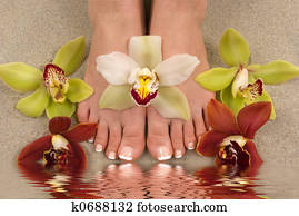 Orchids and Feet