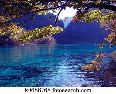paradise paradise