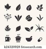 herb icon herb icon