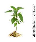 Money growth concept