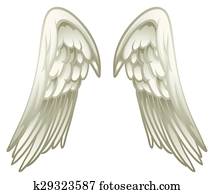 Pair of angel wings Pair of angel wings