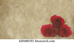 Roses on parchment banner