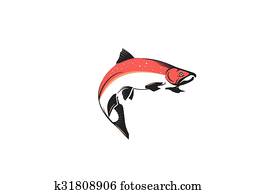 Salmon Salmon