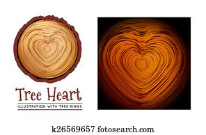 Wooden cross section of the heart shape