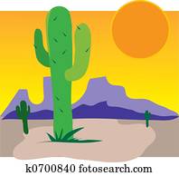 Cactus Cactus