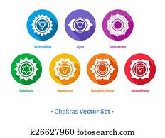 Chakras.