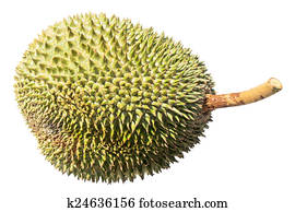 delicious fresh durian isolated on white background
